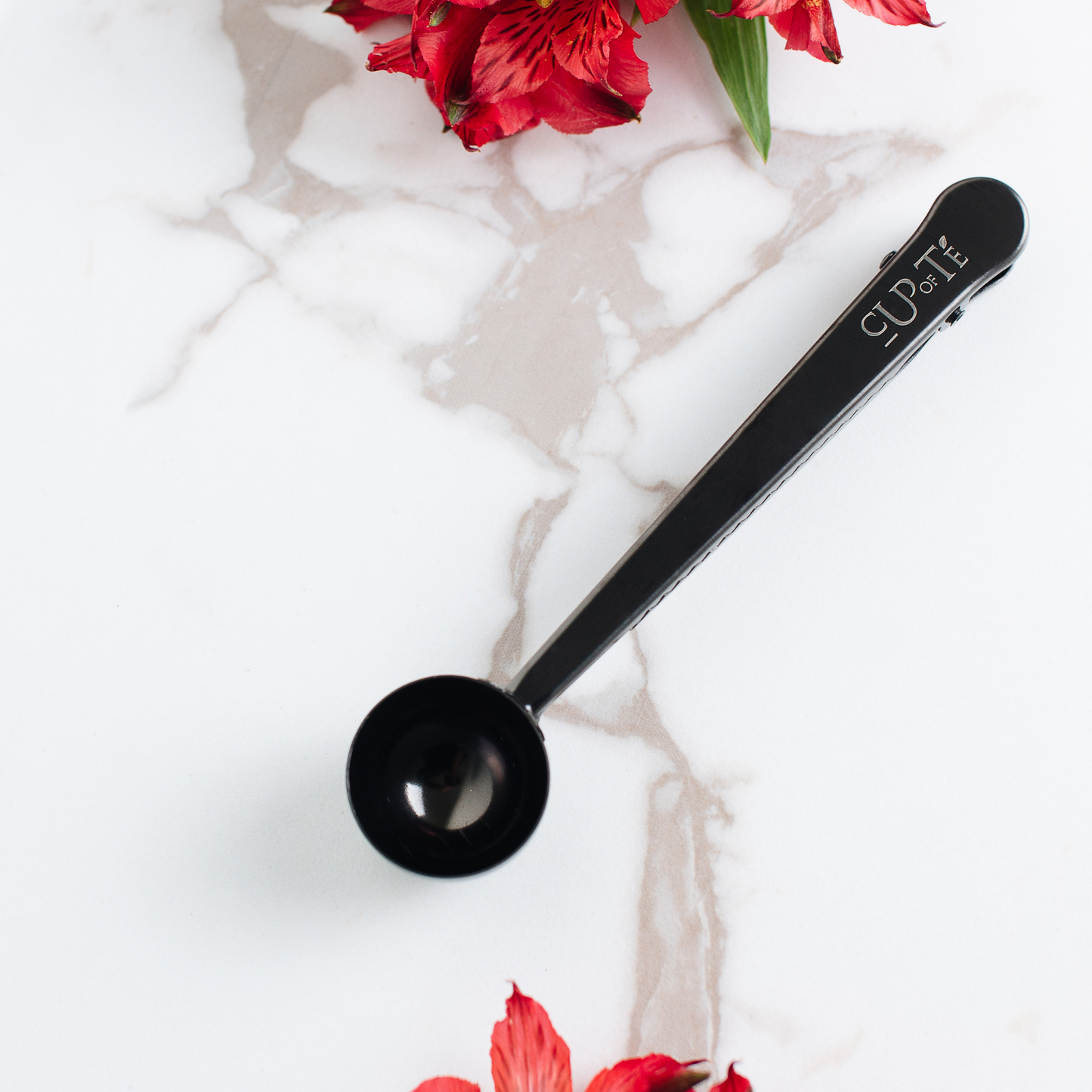 Midnight Scoop